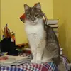 Отзыв от Наталия Савина